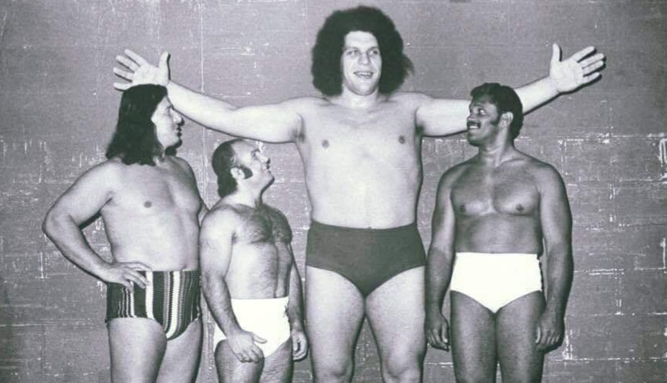 young andre the giant